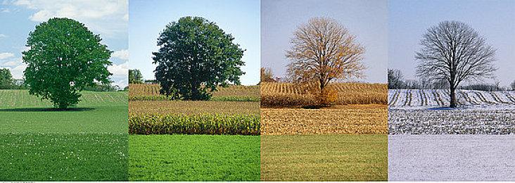 《赛博朋克2077》新桌游开启众筹 10分钟达成目标