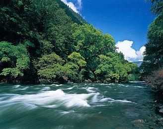 《兄弟：双子传说》重制版实机玩法预告片分享